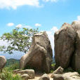 羊台山 羊台山
