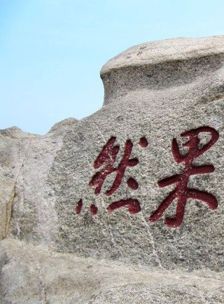 王羊