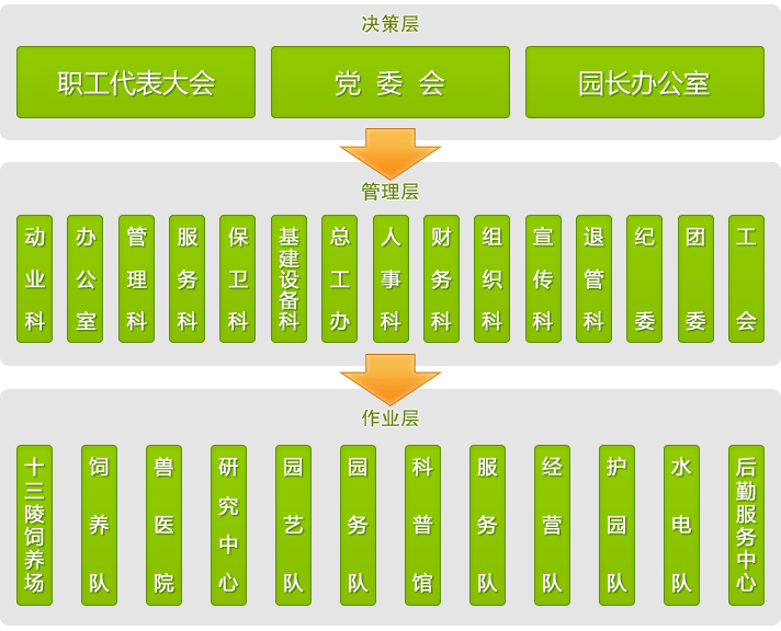 北京动物园组织机构 北京动物园组织机构