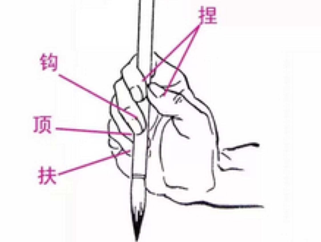 毛笔的握法 毛笔的握法