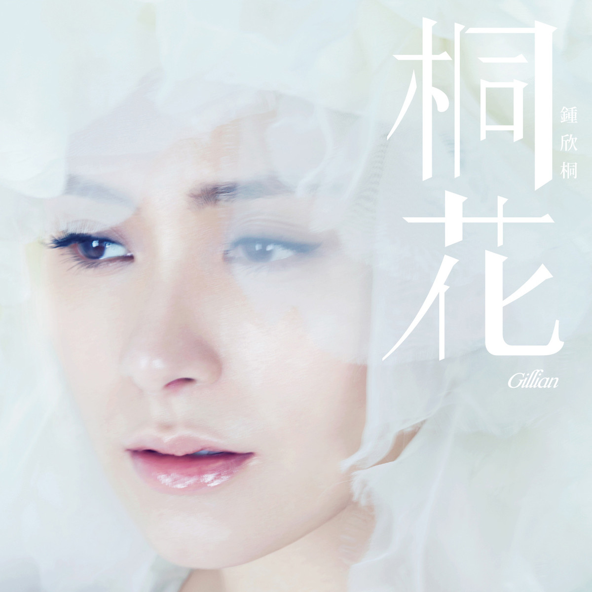 桐花(钟欣潼首张个人国语专辑) 桐花(钟欣潼首张个人国语专辑)