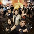 同盟(2017年TVB剧集) 同盟(2017年TVB剧集)