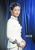 淑女之家(2015年林清振、林龙执导电视剧)