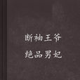 断袖王爷绝品男妃