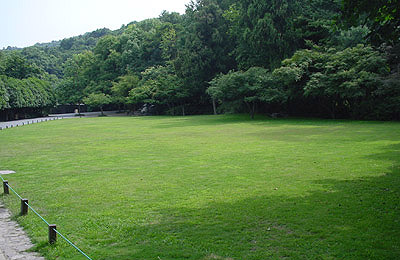 大草坪 大草坪