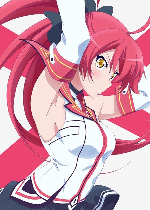 魔装学园H×H(Production IMS改编的电视动画)