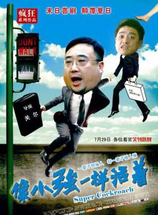金巧巧