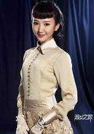 淑女之家(2015年林清振、林龙执导电视剧)