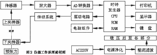 纤维(生物及化学概念)