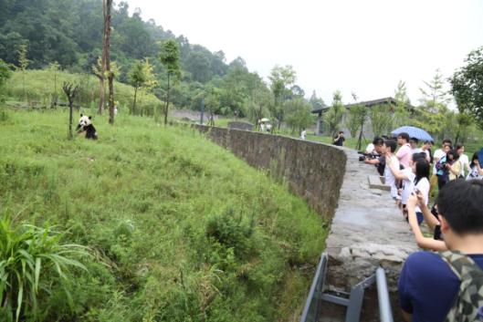 都江堰基地 都江堰基地