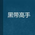 黑带高手