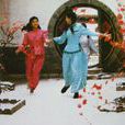 婉君(1990年俞小凡、金铭主演琼瑶剧) 婉君(1990年俞小凡、金铭主演琼瑶剧)