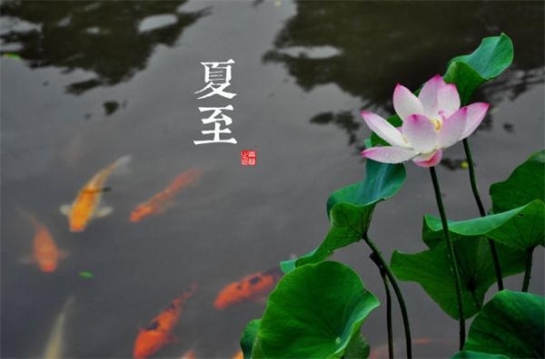 夏至