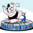 智慧财产权侵权 智慧财产权侵权
