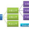 薪酬结构策略 薪酬结构策略