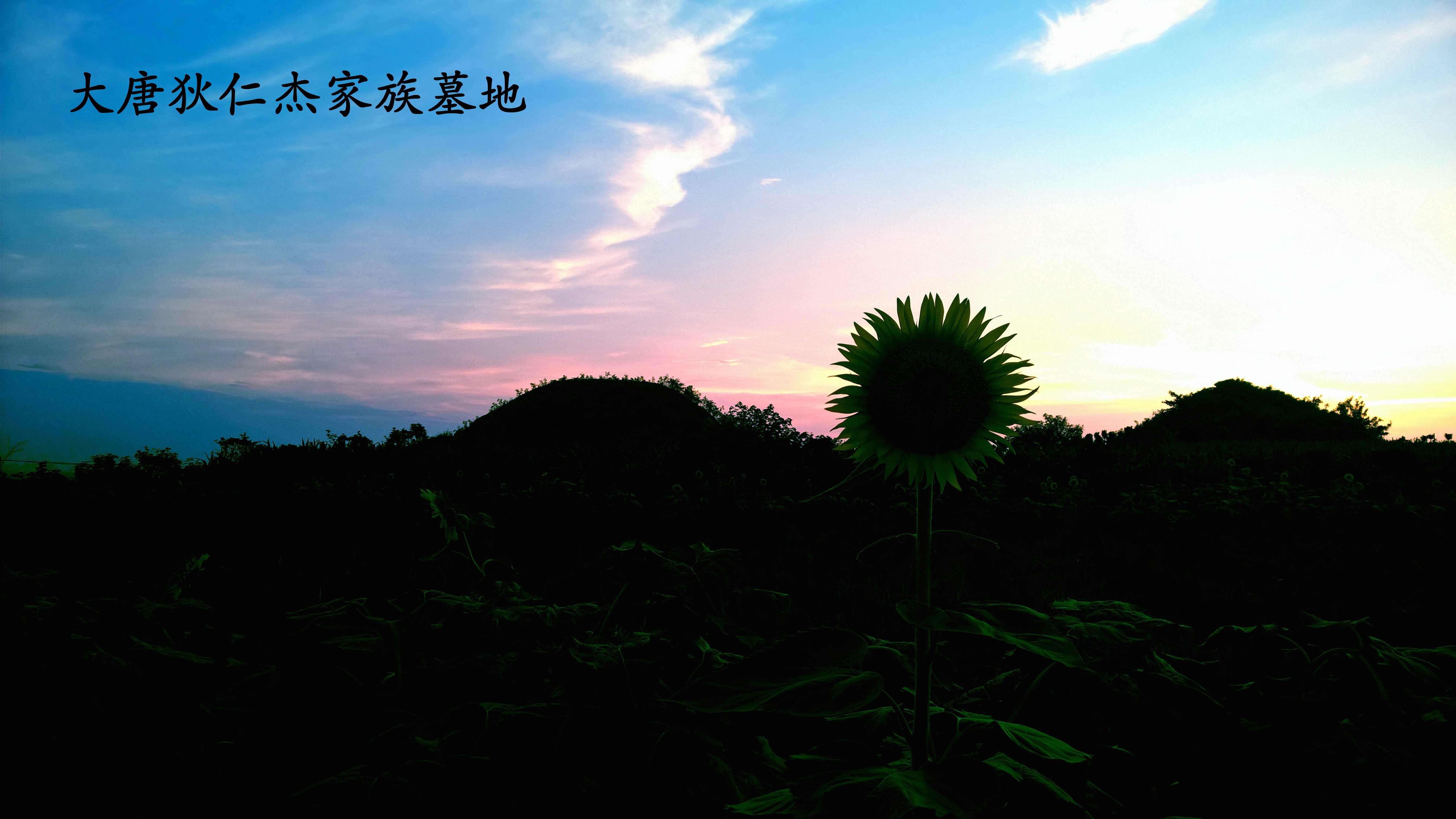 白马寺镇(河南省洛阳市洛龙区白马寺镇)