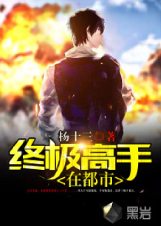终极高手在都市(黑岩网小说)
