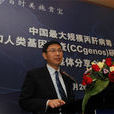 魏来(2008年大学生年度人物)