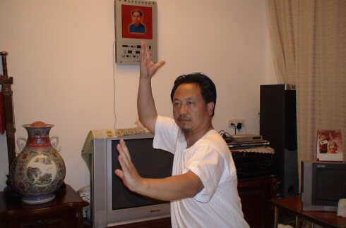 陈庭华(武术家)