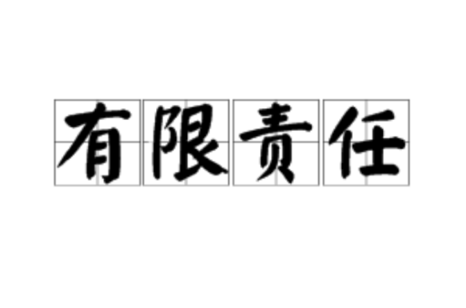 有限责任 有限责任