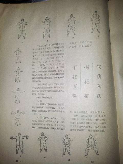 韩其昌(梅花桩武术大师) 韩其昌(梅花桩武术大师)