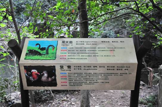杭州动物园说明牌 杭州动物园说明牌