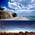 北戴河区(北戴河（国际重要湿地）)