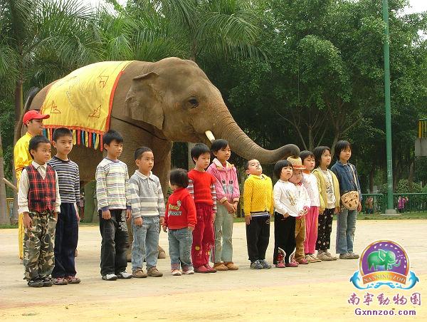 南宁动物园 南宁动物园