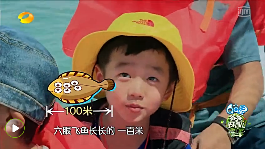 六眼飞鱼