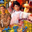 苗翠花(1996年关咏荷主演香港TVB电视剧)