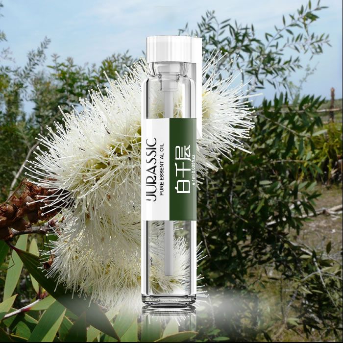绿花白千层精油 绿花白千层精油