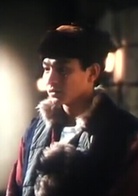 川岛芳子(1990年梅艳芳、刘德华主演的香港电影)