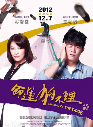 林盈臻