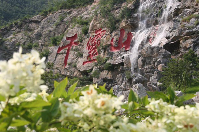 千灵山 千灵山