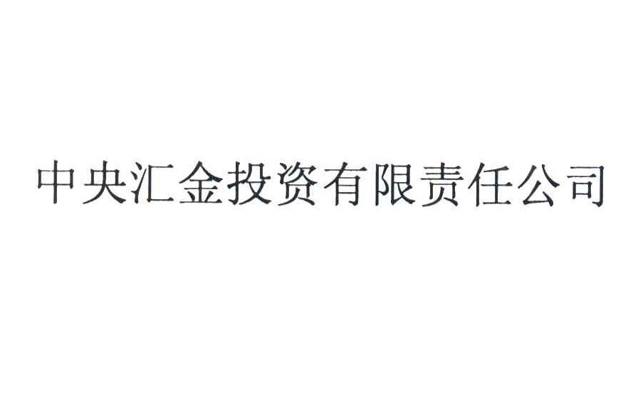 中央汇金投资有限责任公司 中央汇金投资有限责任公司