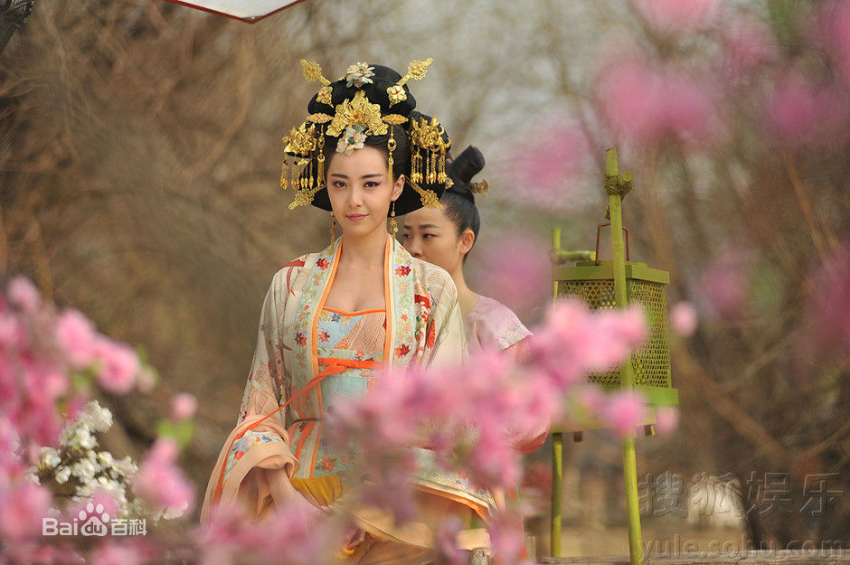 《武媚娘传奇》高阳公主