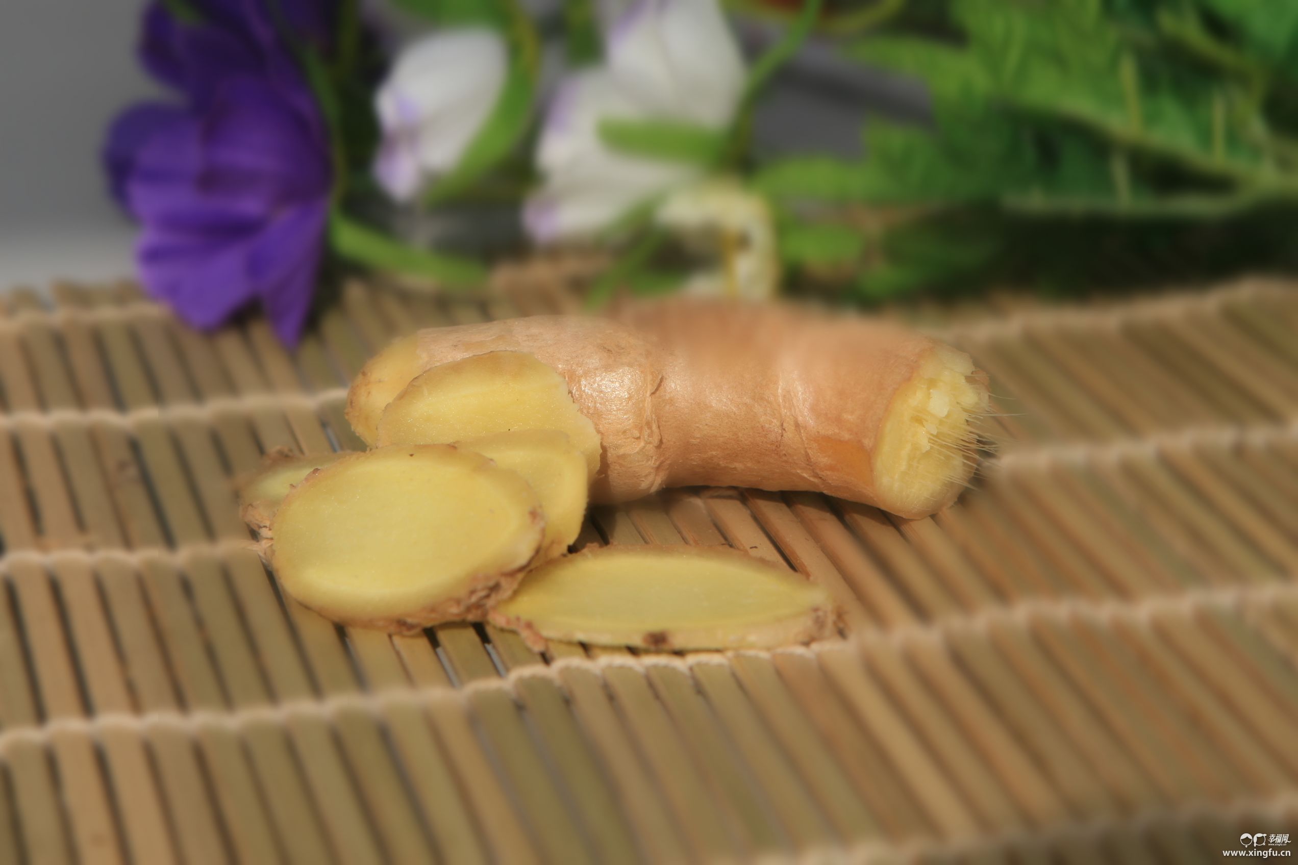 生姜(常用调味植物)