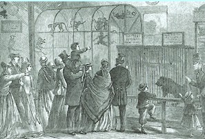 1800年的纽约动物园