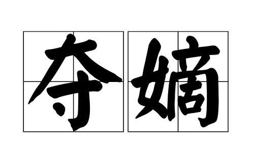 夺嫡(历史学科专有名词) 夺嫡(历史学科专有名词)
