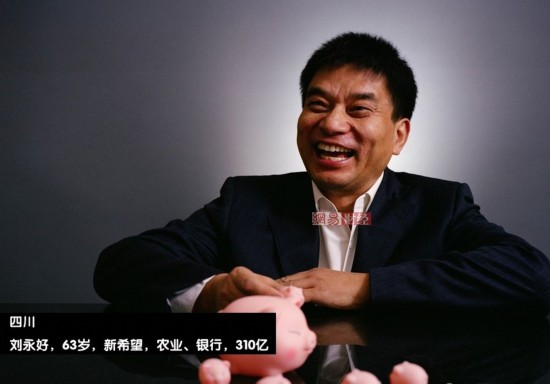刘永好