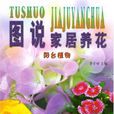 图说家居养花:阳台植物 图说家居养花:阳台植物