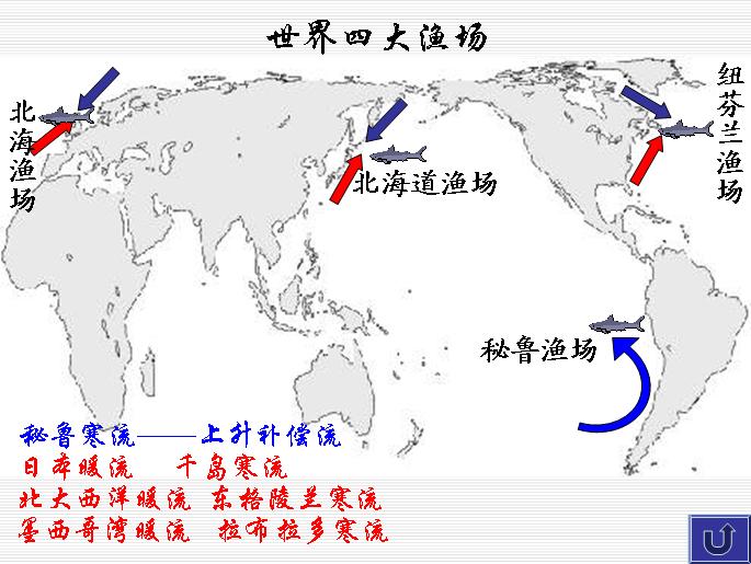 世界四大渔场 世界四大渔场
