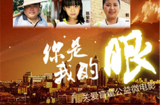 你是我的眼(公益微电影) 你是我的眼(公益微电影)