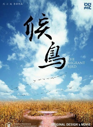 王乙帆