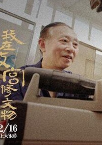 我在故宫修文物(2016年萧寒执导的电影)