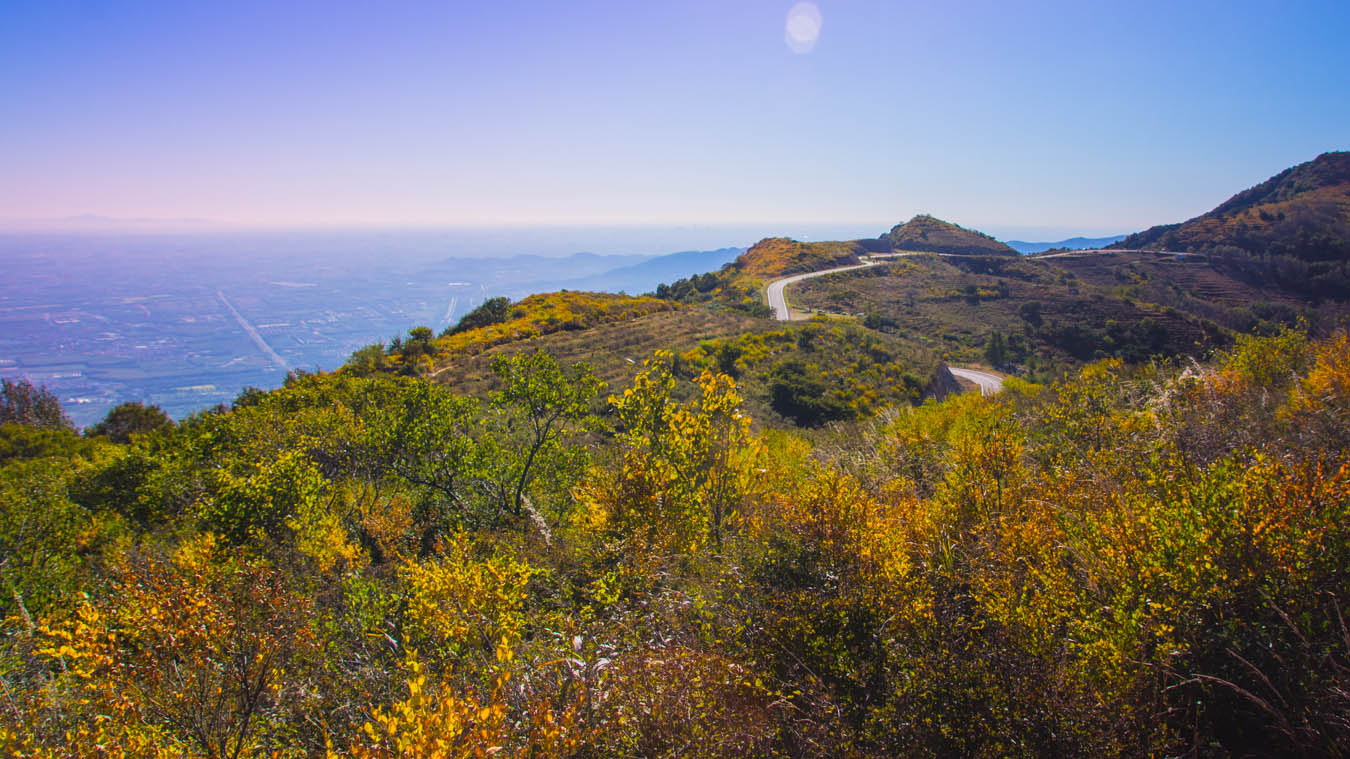 阳台山自然风景区 阳台山自然风景区