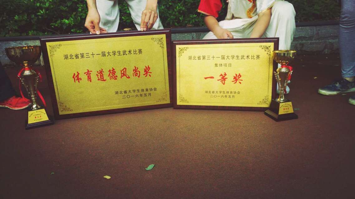 武汉大学中华传统武术协会