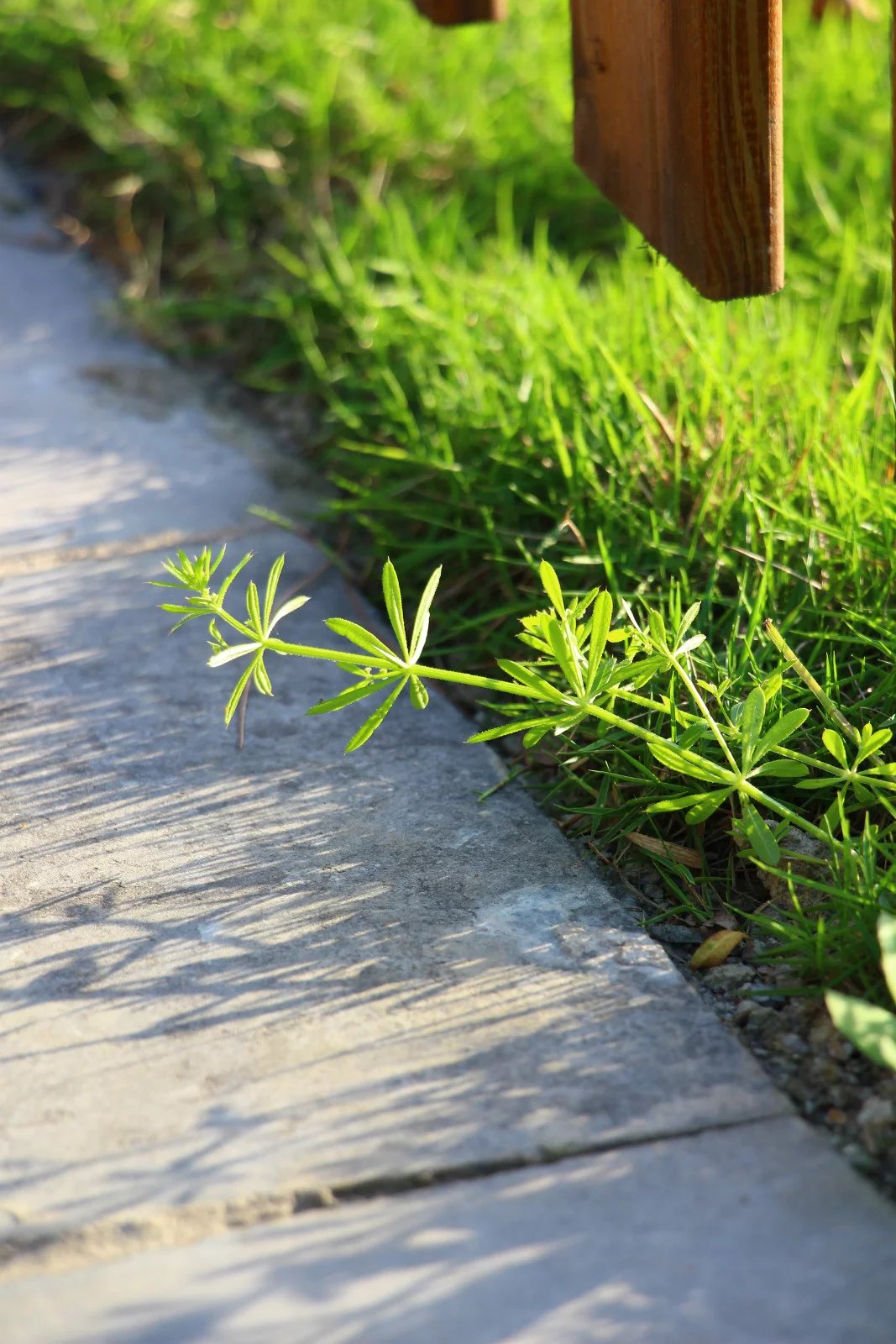 蓬莱仙界 蓬莱仙界