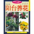 阳台养花 阳台养花