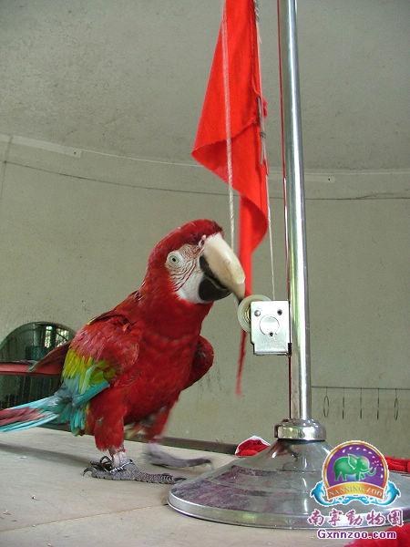 南宁动物园 南宁动物园